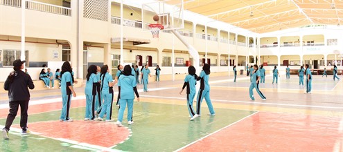 Playground Girls